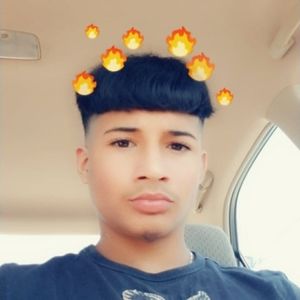 Meet your Posher, Ernest